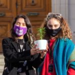 SANTA FE – Media sanción para el cannabis con fines terapéuticos