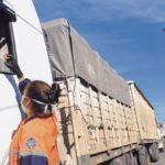 El transporte de cargas no está obligado a realizar el hisopado para ingresar a Santa Fe