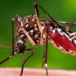 La provincia da por finalizado el brote de Dengue