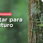 Santa Fe lanzó el programa “Plantar para el Futuro”
