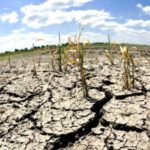 El fenómeno de la «Niña» y sus consecuencias actuales