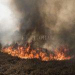 Hay más de 70 demandas contra dueños de campos por los incendios en las islas