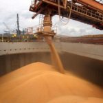 En un contexto de pandemia, las exportaciones agroindustriales sostienen el ingreso de dólares al país