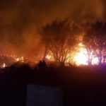 Impresionante incendio detrás del Hogar Canino