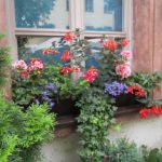 Importante premio para el ganador del concurso “La primavera en tu hogar”