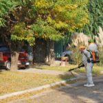 Comienza la campaña contra el Dengue en la ciudad