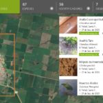 El Trébol se sumó a la propuesta “Gran Biobúsqueda del Sur 2020”