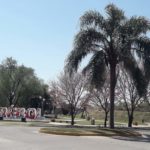 Cinco nuevos casos de coronavirus sumó esta noche El Trebol