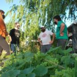 Se realizó un reconocimiento al proyecto “Bombas de semillas de la huerta de Don Tacuara”