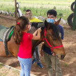 Tras la habilitación provincial, Equinoterapia retomó las actividades