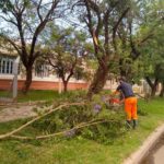 Gran despliegue del personal municipal para ordenar la ciudad