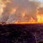 MEDIA SANCIÓN EN DIPUTADOS – Prohíben la venta de terrenos incendiados por 60 años