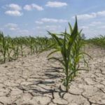 Piden declarar en emergencia agropecuaria al centro-norte provincial