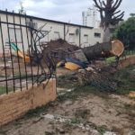 EL TREBOL – La mañana después de la tremenda tormenta