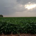 Verano 2021: Lluvias “moderadamente inferiores”