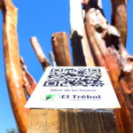 QR TUR – ¿Qué es y cómo funciona el nuevo proyecto?