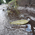 El registro de lluvia de El Trébol y la región