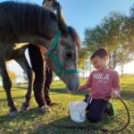 El Centro de Equinoterapia Municipal tiene nuevos cupos