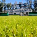 Así luce el “Gigante del Verde” tras resembrar el piso de la cancha