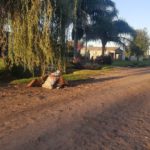 De Lorenzi enumeró reclamos de vecinos en diferentes partes de la ciudad