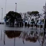 LOS CARDOS – Así está el campo de juego donde debería jugar El Expreso y Unión este domingo