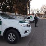 Llegan 17 efectivos de Gendarmería, con tres móviles y seis caballos