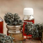 Santa Fe producirá aceite de cannabis medicinal