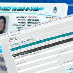 Enterate cómo abonar el CeNat antes de obtener la licencia de conducir