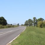 Vialidad impulsa un programa para la forestación de rutas y caminos