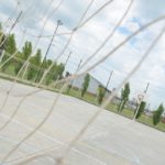 ACTIVIDAD DEPORTIVA – El Municipio informó las resoluciones del Gobierno santafesino