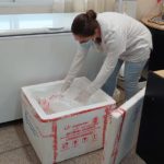 Más del 70% de la población del departamento fue inmunizada