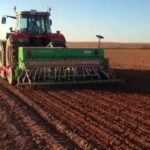 SEQUÍA – Muchos que le tienen «terror» al trigo por la falta de lluvias