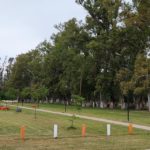 MARIA SUSANA – Paso a paso, como se reconstruye el monte de eucaliptus afectado por el tornado