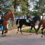 GENDARMERIA – El operativo de este fin de semana incluye 8 efectivos a caballo