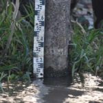 Río Paraná bajo cero: ¿Cómo se mide su altura en cada puerto?
