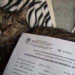 Se realizó con éxito la campaña de vacunación antirrábica