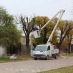 Se ejecuta a muy buen ritmo el programa de poda en la ciudad
