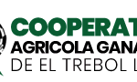 Cotización de cereales