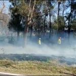 MIRA EL VIDEO – Bomberos extinguieron un incendio de pastizales que se acercaba peligrosamente a una finca