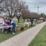 Feria de lo nuestro en el Ecológico