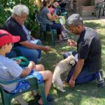 SALUD ANIMAL – La segunda jornada de castraciones también fue un éxito