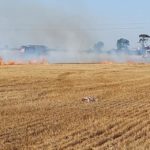 Un mosquito fumigador tocó un cable y produjo un incendio de rastrojos