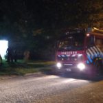 Bomberos retiró panales de abejas