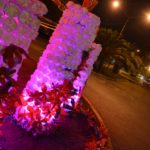 TAMBIÉN EN EL CERVANTES – Se amplían los puntos de recolección de botellas