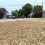 El Municipio logra normalizar el corte de césped domiciliario