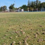 Trabajos de aireado en la superficie del estadio de Trebolense