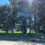 DE MADRUGADA – Tomó fuego un árbol en Troyplast
