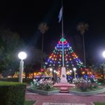 Los Cardos y un arbolito que agiganta el espíritu navideño de la localidad
