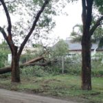TORMENTON – La pesadilla de 20 minutos que vivió San Jorge