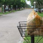 Separar en los hogares, es el primer paso para un mejor ambiente